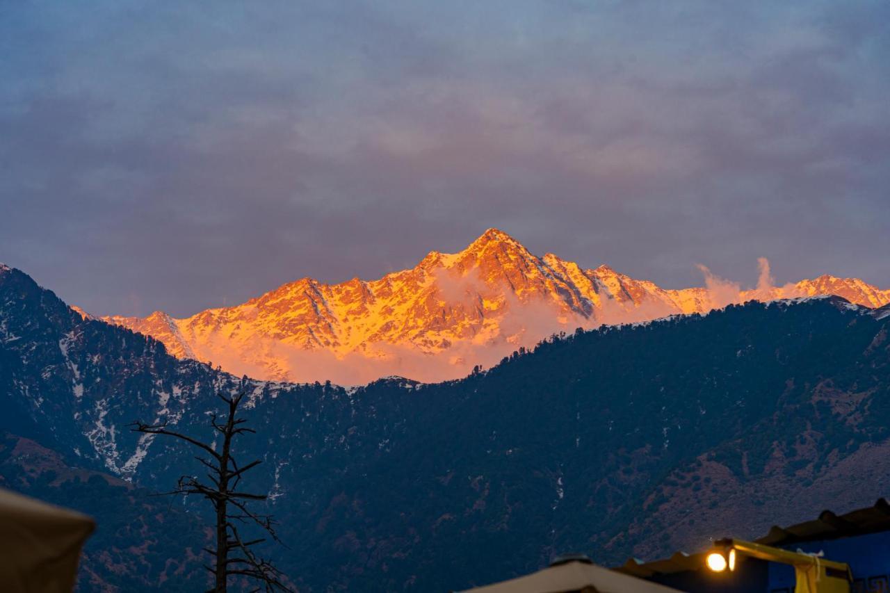 The Hosteller Mcleodganj, Mall Road Мак-Леод-Гейндж Экстерьер фото